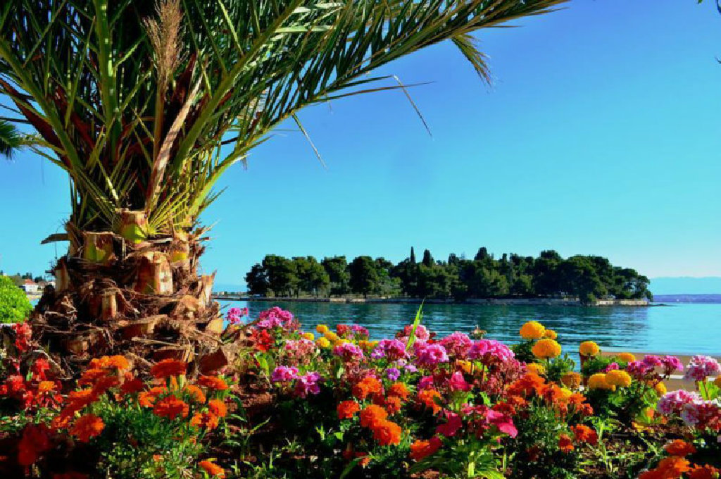 Ugljan-Preko - Villa Majer App. "GROSS" 4+2